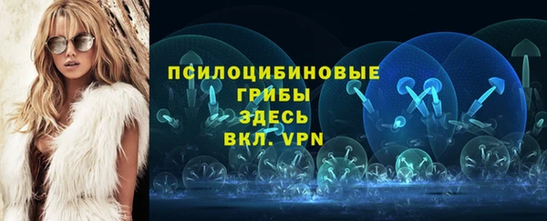 прущая мука Абаза