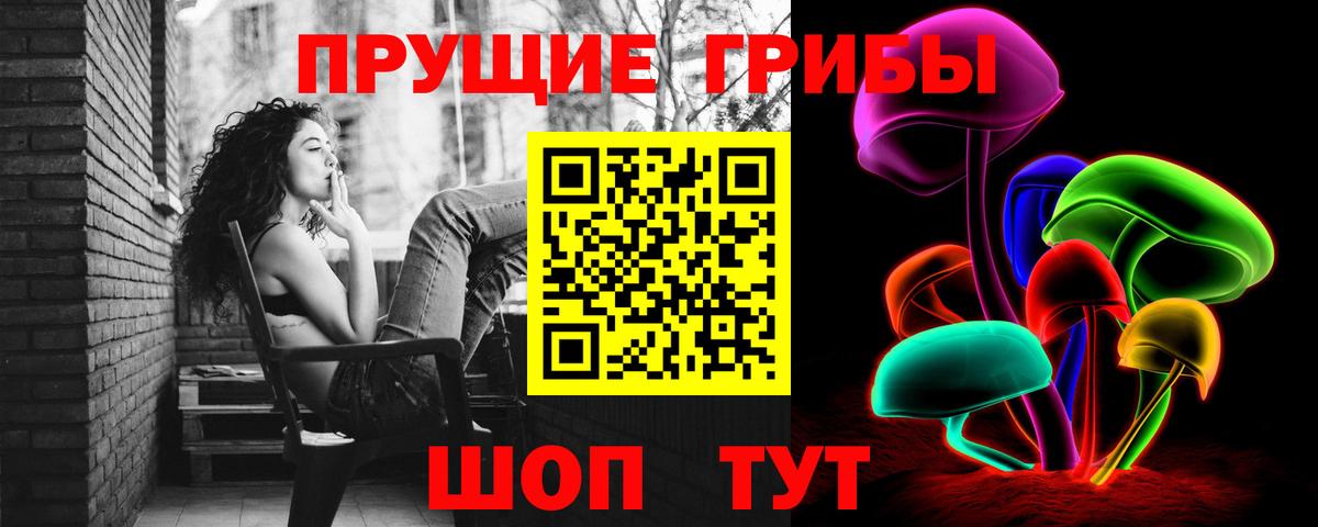 Гагарин  Галлюциногенные грибы Psilocybe  Вход с VPN 