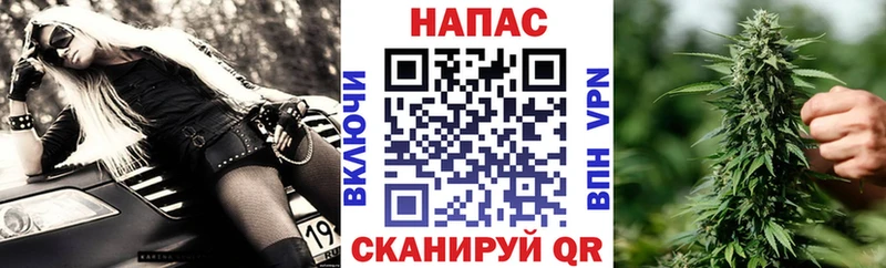 Конопля OG Kush  MEGA сайт  Гагарин 